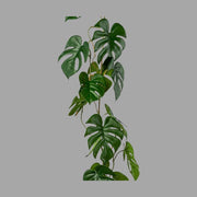 Mű filodendron girland.