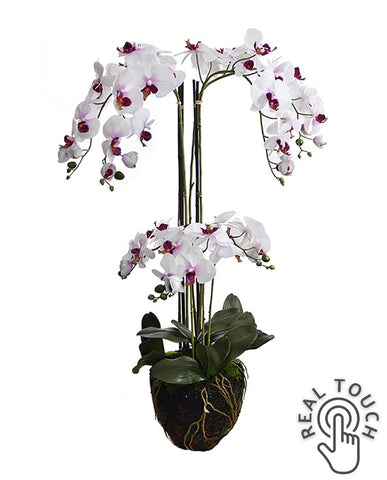 Fehér-lila színű mű orchidea, mesterséges földlabdában.