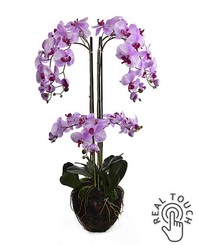 Lila színű mű orchidea, mesterséges földlabdában.