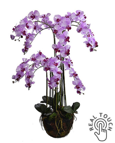 Lila színű mű orchidea, mesterséges földlabdában.