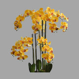Sárga színű mű orchidea, mesterséges földlabdában.