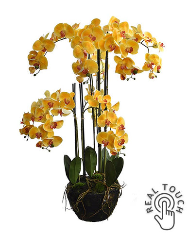 Sárga színű mű orchidea, mesterséges földlabdában.
