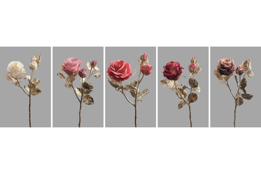 Glamour mű rózsák, fényes pezsgő színű levelekkel.