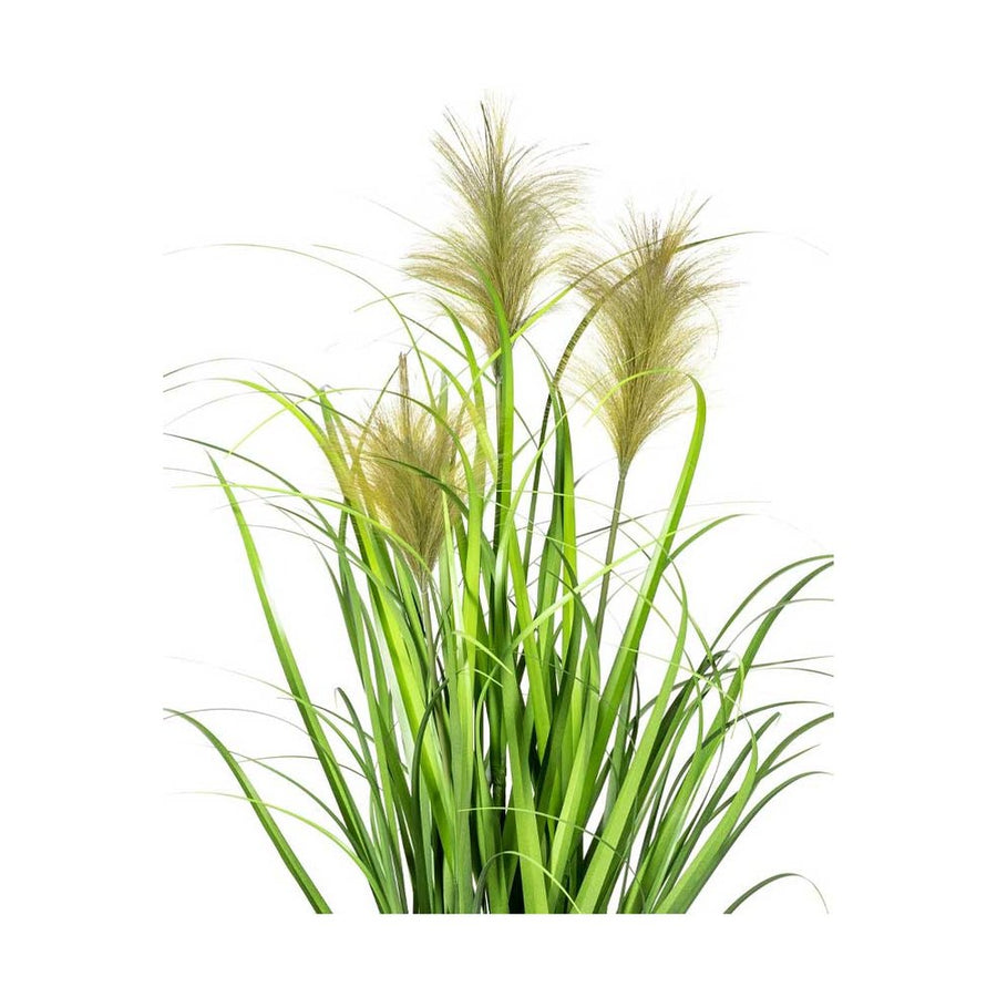 Zöld színű, natúr bugákkal rendelkező, 90 cm magas mű japán díszfű bokor, fekete műanyag kaspóban.