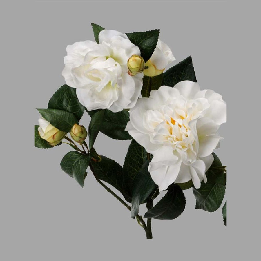 Krém színű mű kamélia.