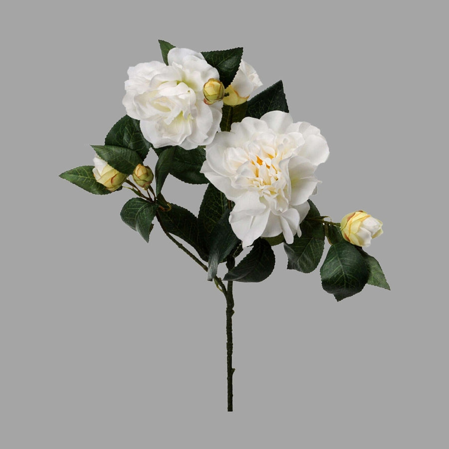 Krém színű mű kamélia.