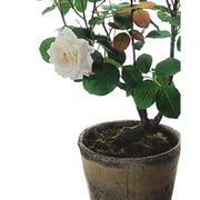 Prémium kategóriás, nagy méretű élethű rózsabokor vintage kaspóban