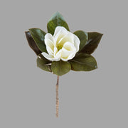 Virágzó mű magnólia ág egy darab fehér színű nyílt virággal.