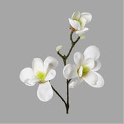 Fehér színű virágzattal és bimbokkal rendelkező, magnólia művirág.