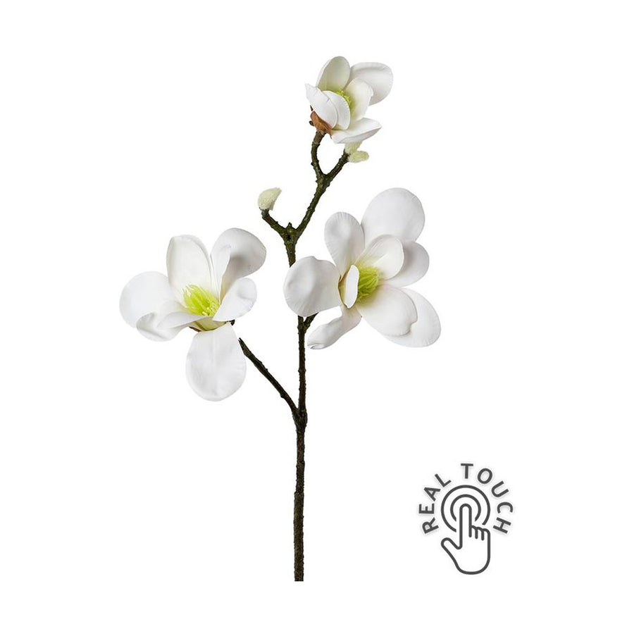 Fehér színű virágzattal és bimbokkal rendelkező, magnólia művirág.