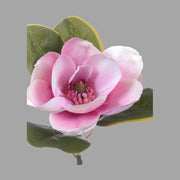 Virágzó mű magnólia ág, egy darab pink színű nyílt virággal