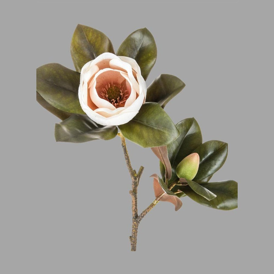 Virágzó mű magnólia ág, púder rózsaszín színű nyílt és bimbós virággal.