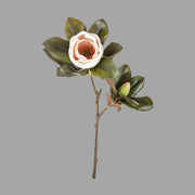 Virágzó mű magnólia ág, púder rózsaszín színű nyílt és bimbós virággal.