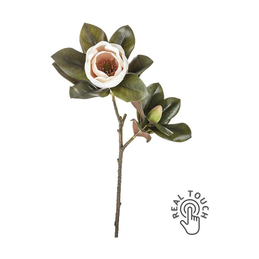 Virágzó mű magnólia ág, púder rózsaszín színű nyílt és bimbós virággal.