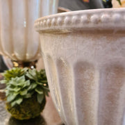 Közelkép a krémszínű kerámia kaspó finoman repedezett mázáról és bordás mintázatáról