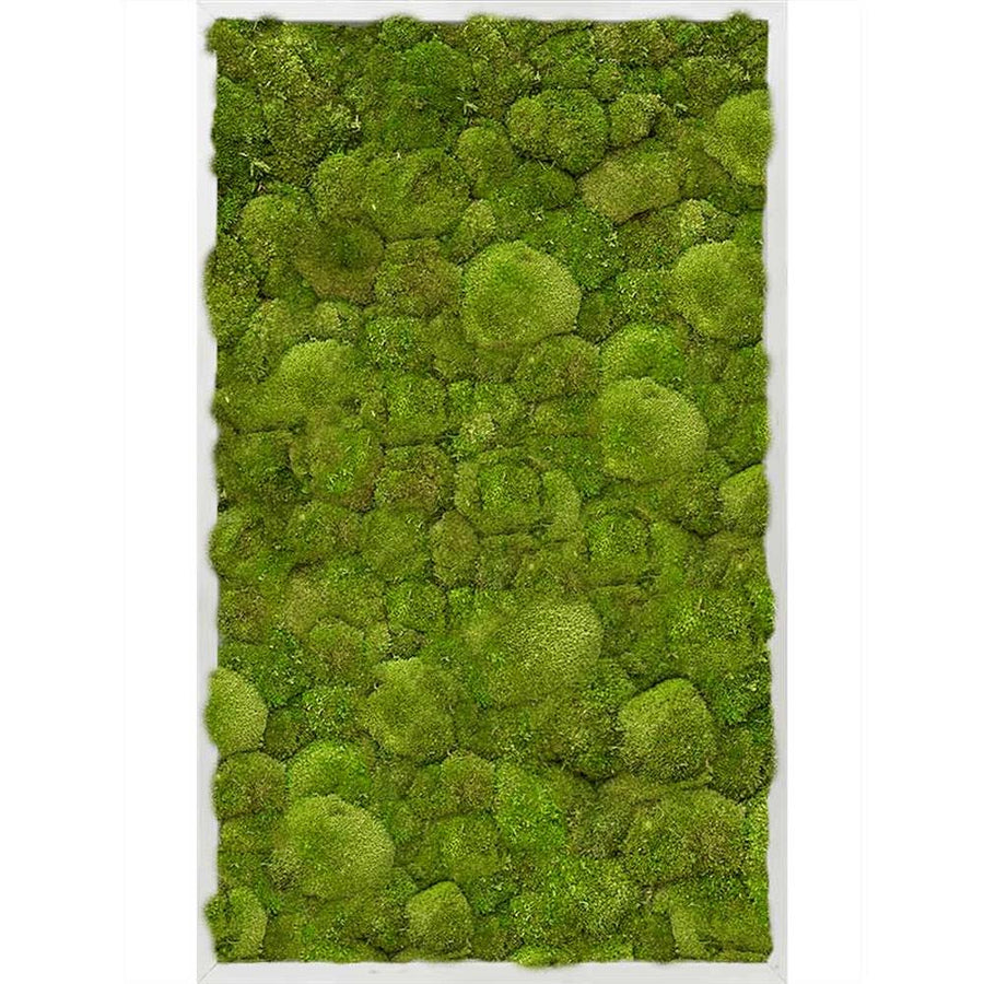 Valódi gömbmohából készült, 100 cm hosszú és 60 cm széles, alumínium keretbe foglalt, plasztikus növényfal panel, mohakép.