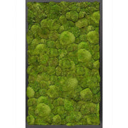 Valódi gömbmohából készült, 100 cm hosszú és 60 cm széles, mélyfekete színű MDF keretbe foglalt, plasztikus növényfal panel, mohakép.
