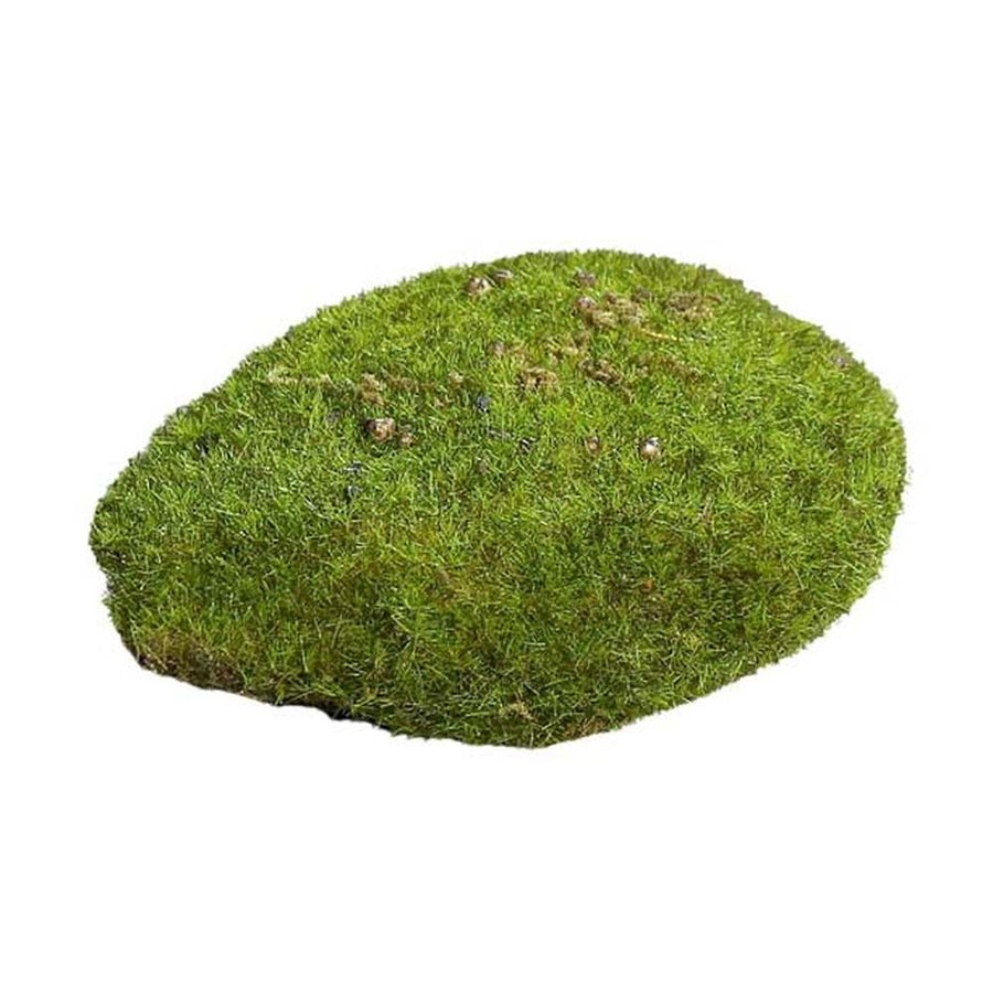 Dekorációs mű moha szivacs.