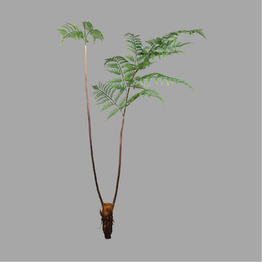 Óriás méretű, élethű megjelenésű, 150 cm magas, erdei pajzsika ág, páfrány műnövény.