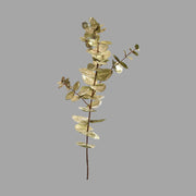 Fényes, aranyszínű levelekkel rendelkező dekor eukaliptusz ág műnövény.