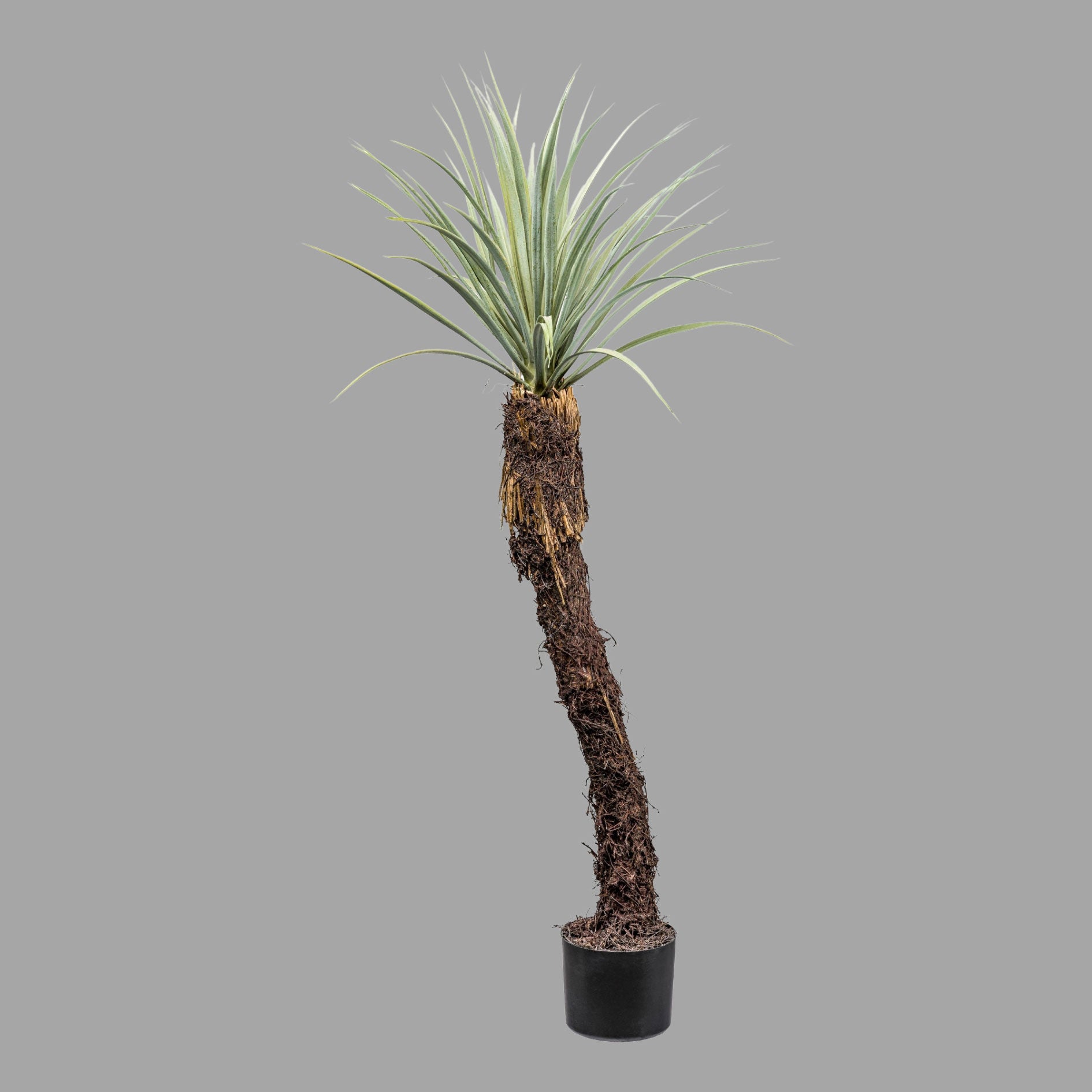 Mű jukka pálma 120 cm zöld "Yucca Rostrata"