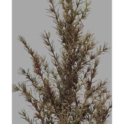 Lucfenyő ág műnövény.