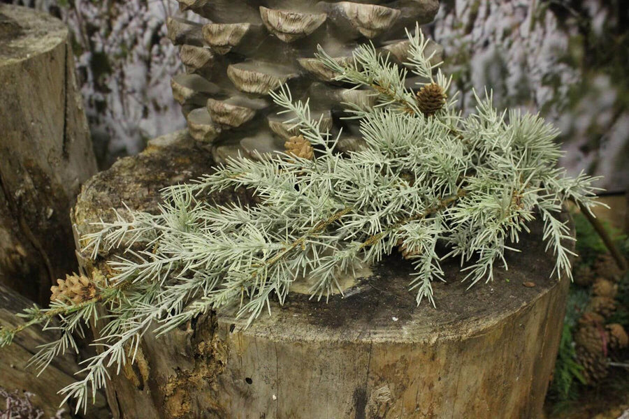 Lucfenyő ág műnövény.