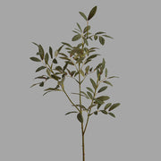 Fáradt zöld színű, olíva ág műnövény.