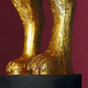 Aranyszínű nyuszi lábai.