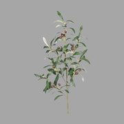 Olíva ág műnövény, 16 darab olajbogyóval.