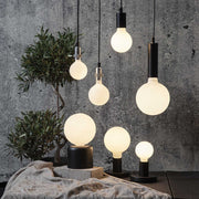 Matt felületű opál LED izzók szürke színű betonfal előtt, zöld növénnyel.