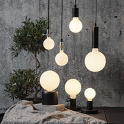 Matt felületű opál LED izzók szürke színű betonfal előtt, zöld növénnyel.