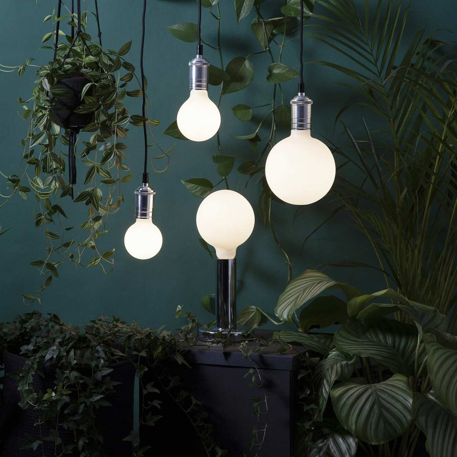 Matt felületű opál LED izzók zöld növények között.