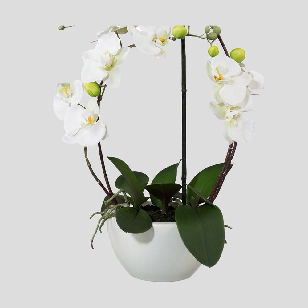 Fehér színű mű orchidea, kerámia kaspóban.