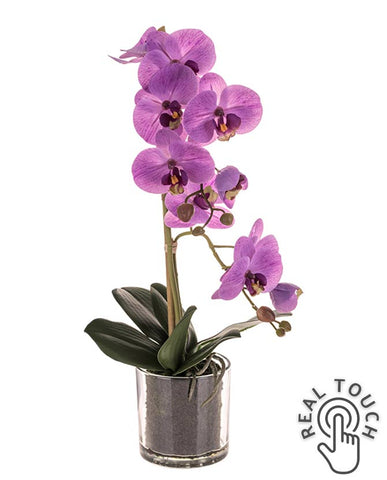 Lila színű mű orchidea, áttetsző üveg kaspóban.