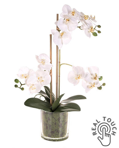 Fehér színű mű orchidea, áttetsző üveg kaspóban.