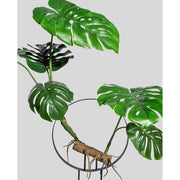 Exkluzív megjelenésű, modern, kortás stílusú, 100 cm magas, filodendron műnövény kompozíció.