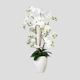 Fehér színű, cserepes mű orchidea, fehér színű kerámia kaspóban.