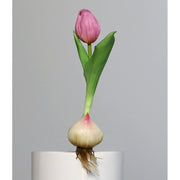 Rózsaszín színű hagymás mű tulipán