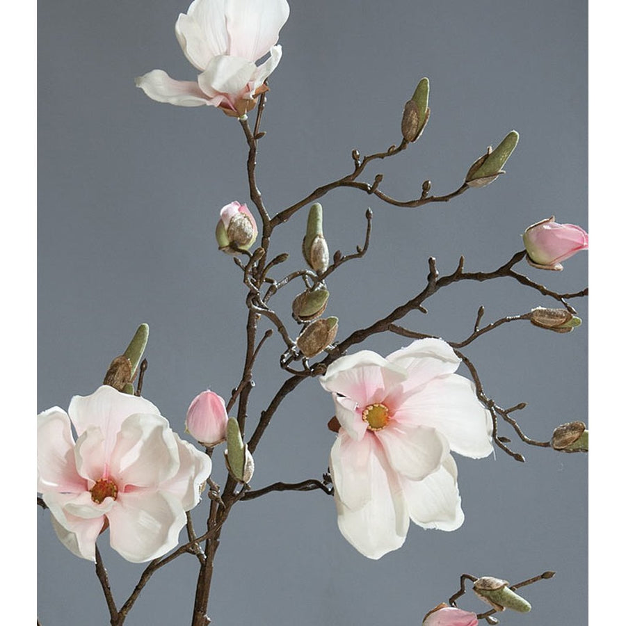 Élethű, halvány rózsaszín színű magnólia művirág, nyílt, bimbós és rügyező virágokkal.