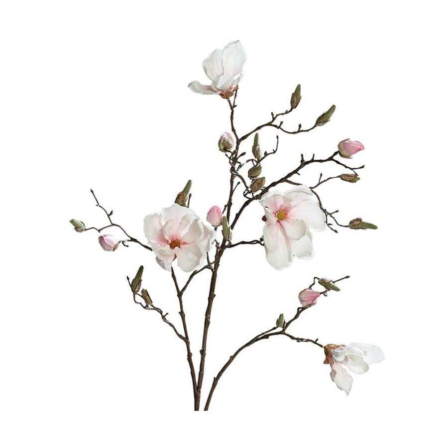 Élethű, halvány rózsaszín színű magnólia művirág, nyílt, bimbós és rügyező virágokkal.