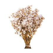 Szárított rhodante virágcsokor..