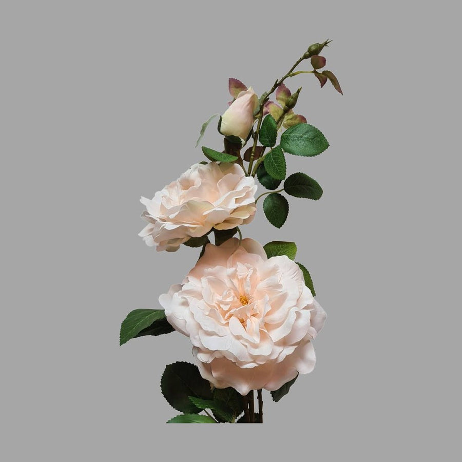 Rózsa művirág, krém színű nyílt és bimbos virágfejekkel.