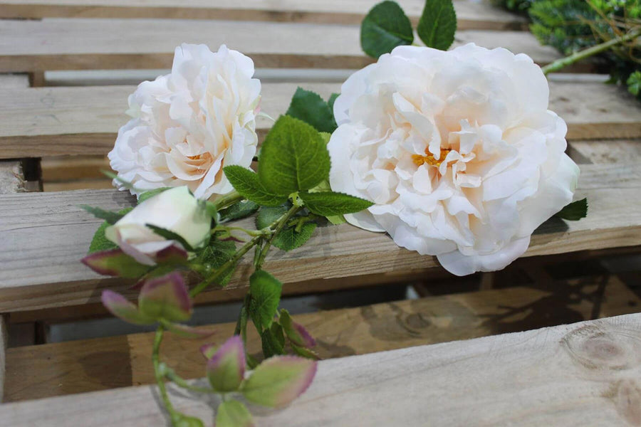 Rózsa művirág, krém színű nyílt és bimbos virágfejekkel.