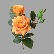 Rózsa művirág, narancssárga színárnyalatú nyílt és bimbós virágfejekkel.