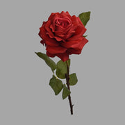 Rózsa művirág, nyílt vörös színű virágfejjel.