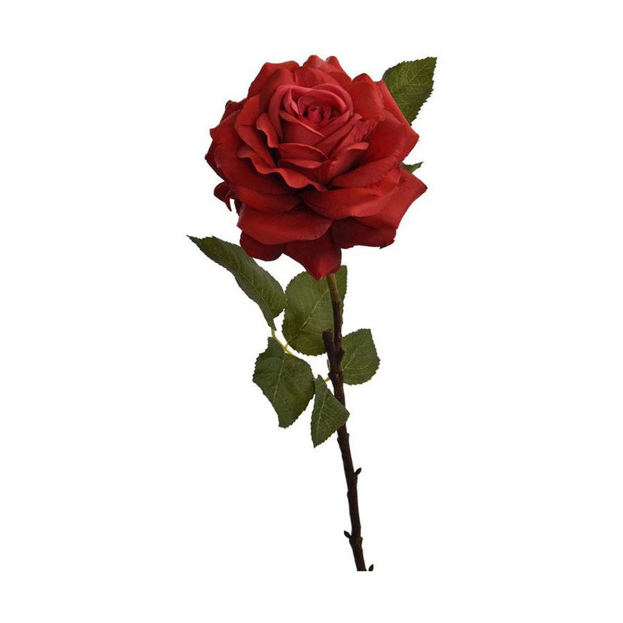 Rózsa művirág, nyílt vörös színű virágfejjel.