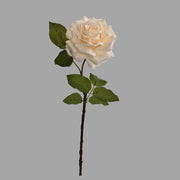 Rózsa művirág, nyílt vanília színű virágfejjel.