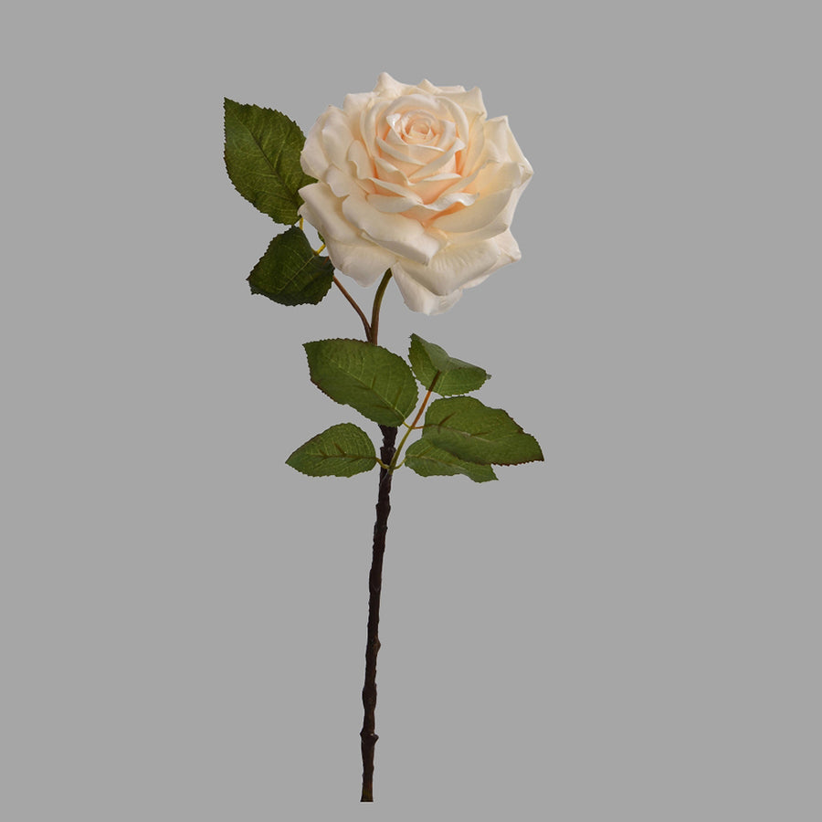 Rózsa művirág, nyílt vanília színű virágfejjel.