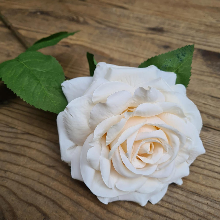 Rózsa művirág, nyílt vanília színű virágfejjel.